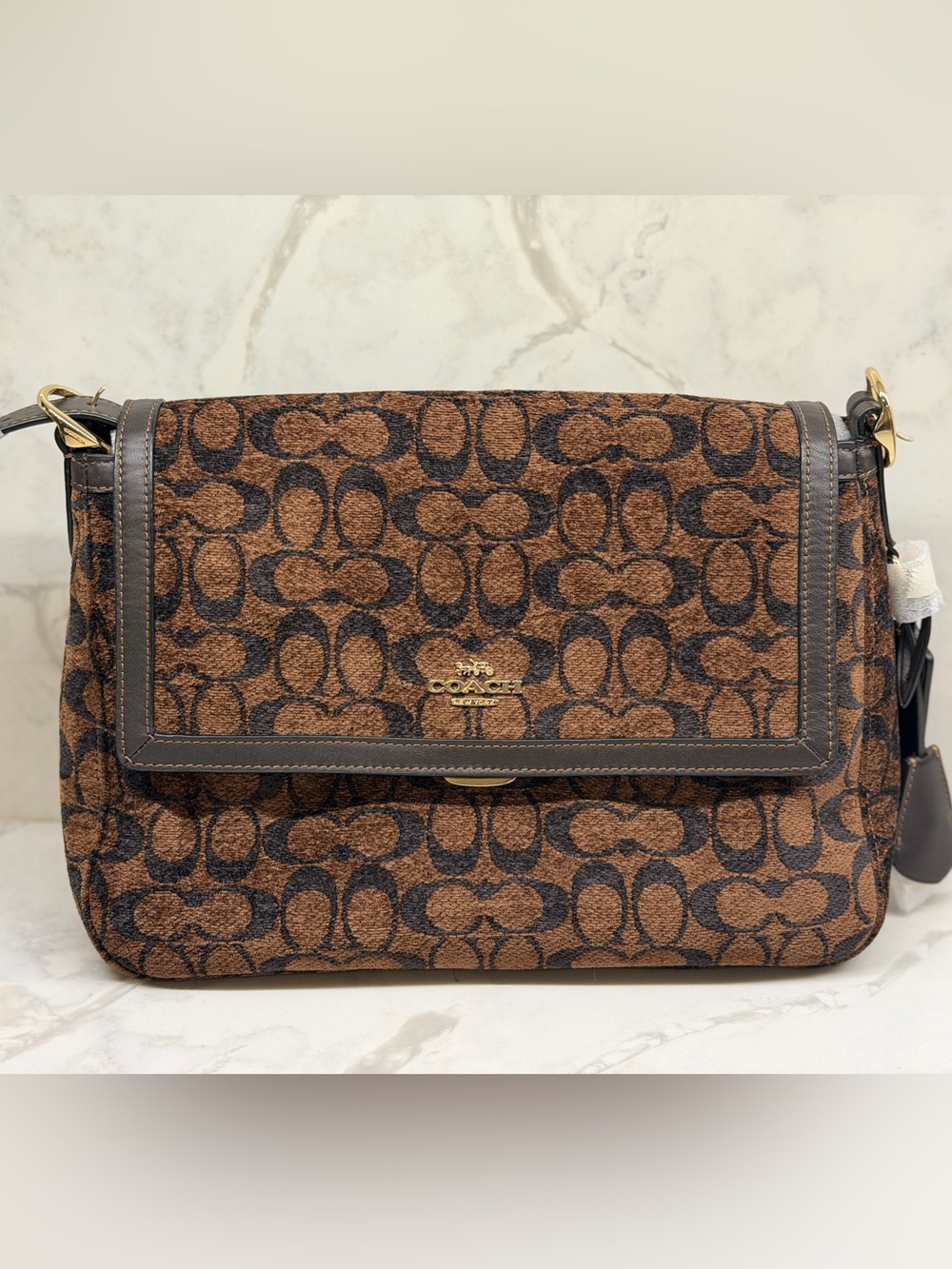 Coach Large Etta Shoulder Bag